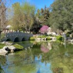 Cultivating Virtues Of Peace, Joy, Love