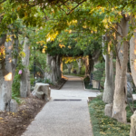 Blessing For The New Year